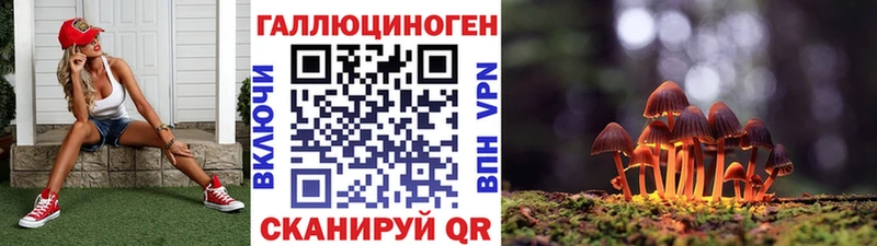 сайты даркнета какой сайт  цена наркотик  Староминская  Галлюциногенные грибы Psilocybine cubensis 